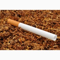 Висока якість тютюну за Низькою ціну