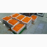 Морква по корейські