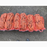 Продам моркву власного виробництва, є біля 5 тон, можлива доставка