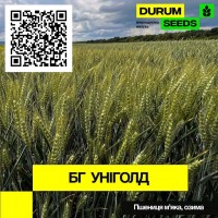 Насіння пшениці - БГ Уніголд / Durum Seeds 2024 - Оригінатор Biogranum (Сербія)