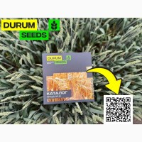 Насіння пшениці - БГ Уніголд / Durum Seeds 2024 - Оригінатор Biogranum (Сербія)