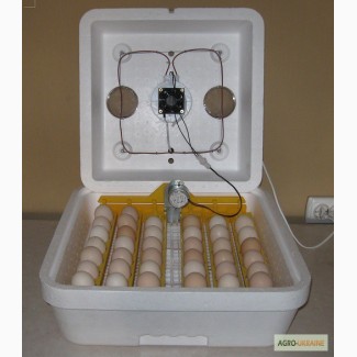 Инкубатор Автоматический с вентиляцией 42 яйца ТЭН