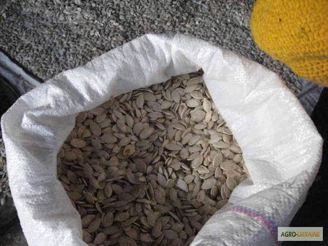 Фото 2. Продам гарбузове насіння 25 кг