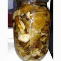 Продам грибы маслята маринованные Урожай 2020г