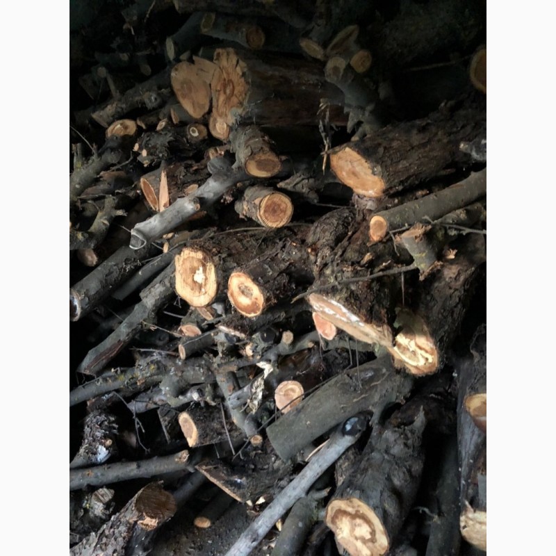 Фото 4. Фруктовые дрова
