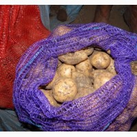Свежая картошка, картофель, кортопля