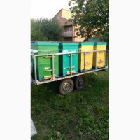 Продажа пчелопавельона и пчелоприцепа