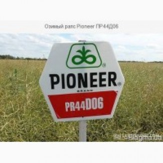 Семена Рапса Пионер ПР44Д06 (PR44D06)