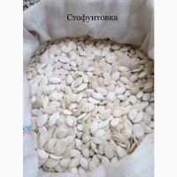 Семена тыквы продаем в ассортименте