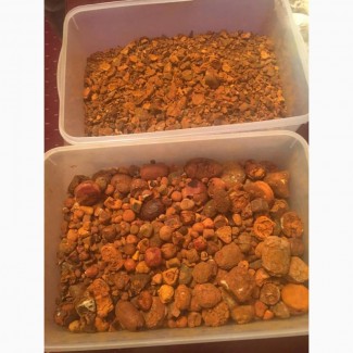 Gallstones available for sale / Ox and Cow Gallstones for sale