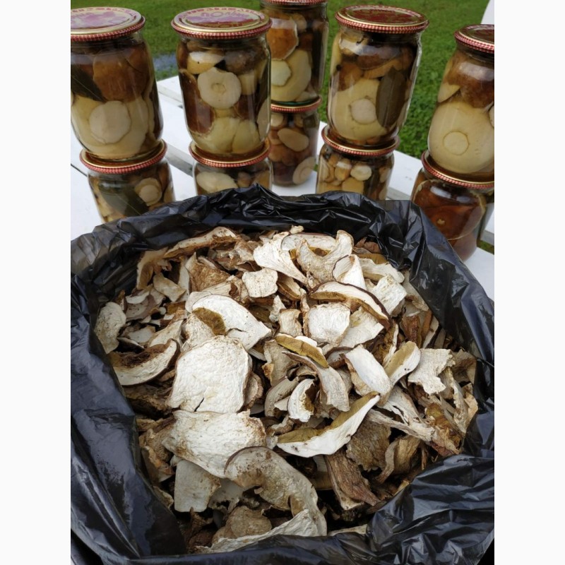 Продам білі сушені та мариновані гриби Преміум якості (сезон 2020)