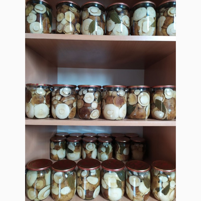 Фото 2. Продам білі сушені та мариновані гриби Преміум якості (сезон 2020)