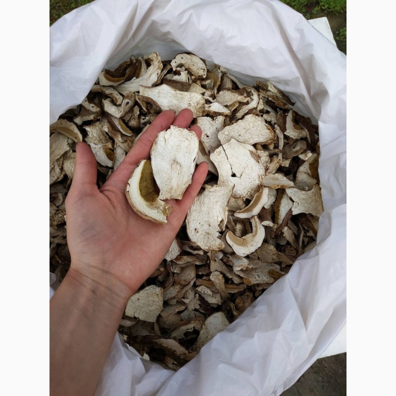 Фото 4. Продам білі сушені та мариновані гриби Преміум якості (сезон 2020)