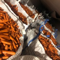Продам морковь (Нидерланды) 2 сорт в биг бэгах и мешках