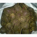 Продам картофель, сорт Альваро, буряк сорт Пабло (средне-мелкий)