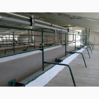 Будівництво Корівників, реконструкція тваринницьких ферм