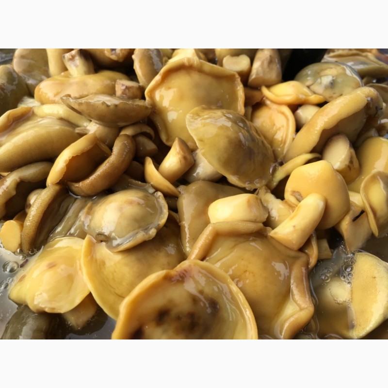 Продам гриби: білі, маслята, польські, опеньки