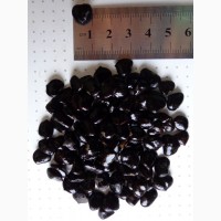 Акклиматизированые семена Магнолия Суланжа 100гр-200грн/ 10шт-10грн