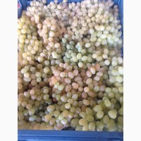 Продам виноград Киш-Мыш Турция