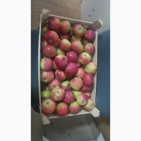 Продам яблоки от производителя несколько сортов с 10 тонн