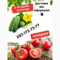 Продам огірочки та помідори