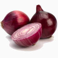 Red Onions for sale / Red Onions for sale cheap price