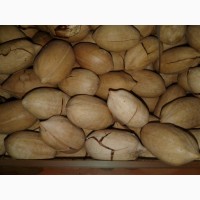 Орехи: бразильский, макадамия, фундук, пекан миндаль, кешью, фисташки, Ассортимент орехов