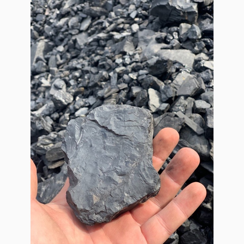 Фото 6. Уголь каменный ДГ (13-100)