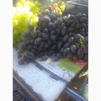 Куплю виноград столовых сортов
