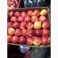 Продам відмінної якості яблука