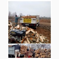 Продам дрова дуба Одесса и область