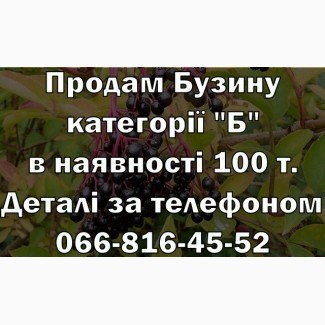 Продам Бузину категорії Б, ціна Договірна