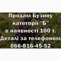 Продам Бузину категорії Б, ціна Договірна