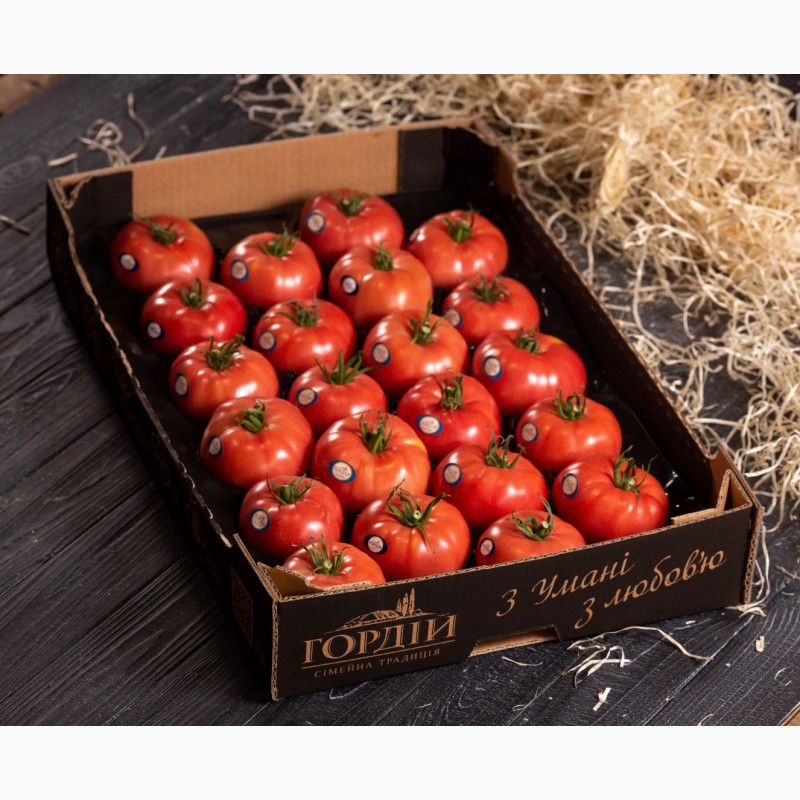Фото 3. Продам помідоры. найвища якість