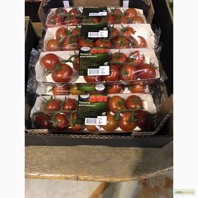 Фото 9. Продам помідоры. найвища якість