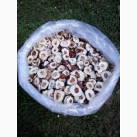 Сухие грибы