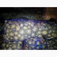 Продам браковану картоплю