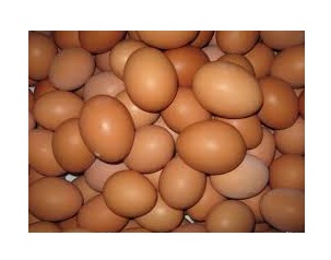 Фото 10. Продам яйцо куриное, C0, C1, C2, белое и коричневое, яйцо свежое, крупное