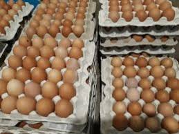 Фото 6. Продам яйцо куриное, C0, C1, C2, белое и коричневое, яйцо свежое, крупное
