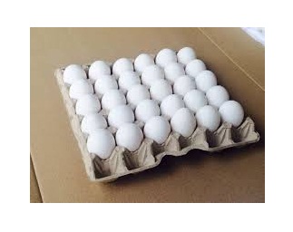 Фото 7. Продам яйцо куриное, C0, C1, C2, белое и коричневое, яйцо свежое, крупное