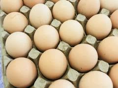 Фото 8. Продам яйцо куриное, C0, C1, C2, белое и коричневое, яйцо свежое, крупное