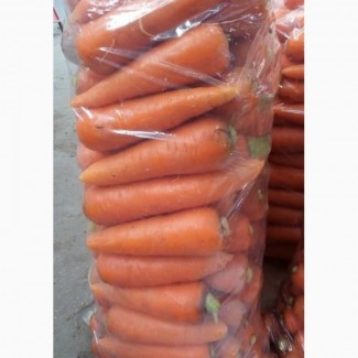 Продам оптом морковку