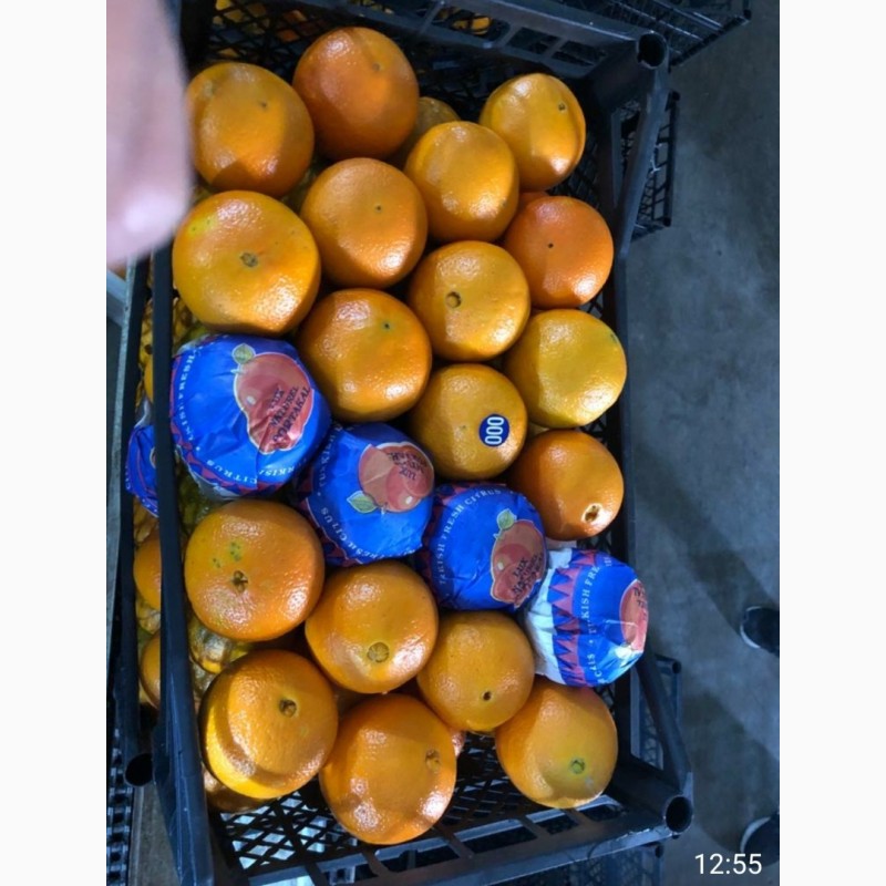 Фото 2. Продам мандарины и апельсины. опт. турция