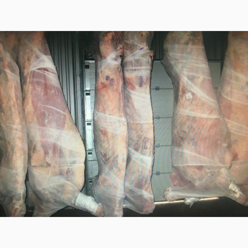 Фото 2. Продам полу туши говядины завернутую в марлю от производителя