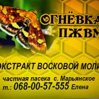 Экстракт Огнёвка ПЖВМ