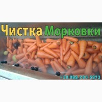 Комплексная линия для заготовки овощей (картофеля, моркови) к продаже и переработке