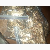 Продам грибы сушоные лесные