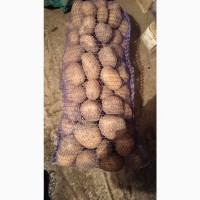Продам картоплю від населення
