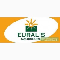 Семена кукурузы Евралис Семанс гибрид (Euralis Semences)