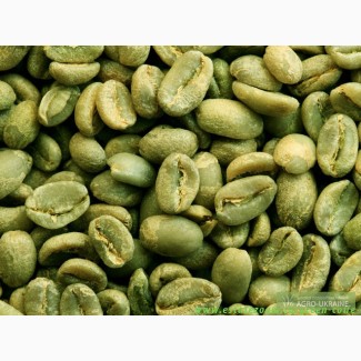 Зеленый кофе в зернах